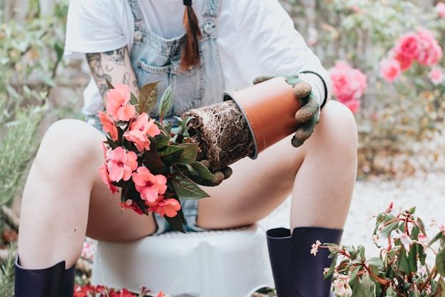 Садовий декор і горщики