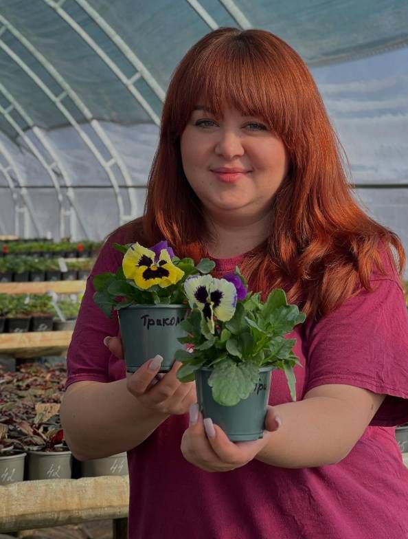 Консультант