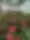 Додаткове фото товару