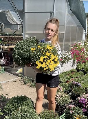 Бджілка-квітниця-трудівниця