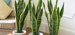 Для очищення повітря